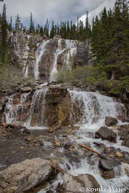 Tangle Creek