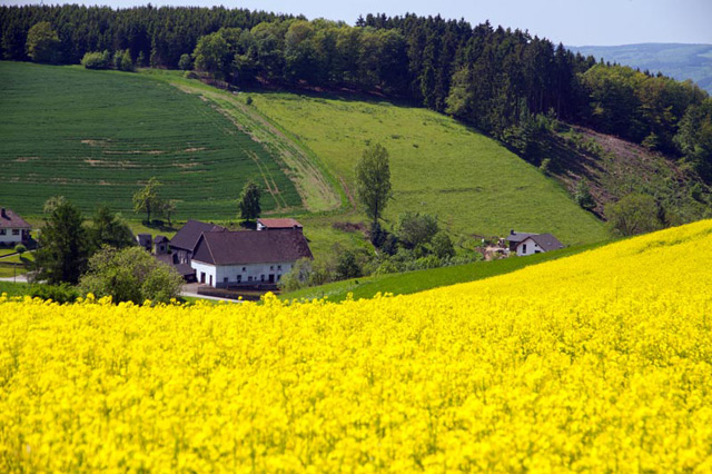 Sauerland