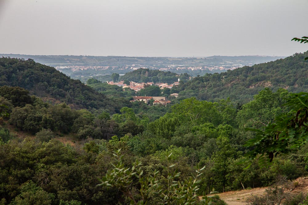 20250614 IMG 1071