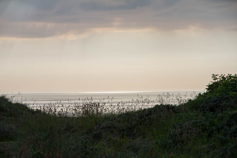 20260619 IMG 2204