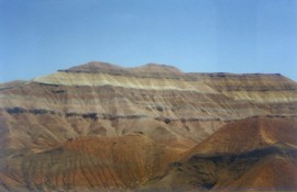 Painted Dessert