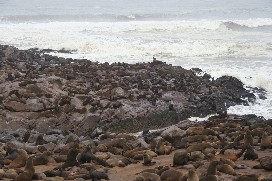ZA2008  0352