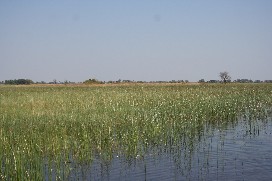 ZA2008  0853