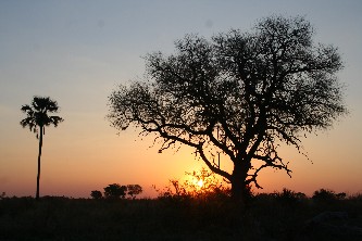 ZA2008 0873