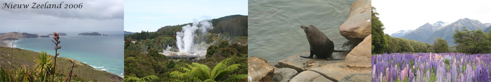 NZ_2.jpg