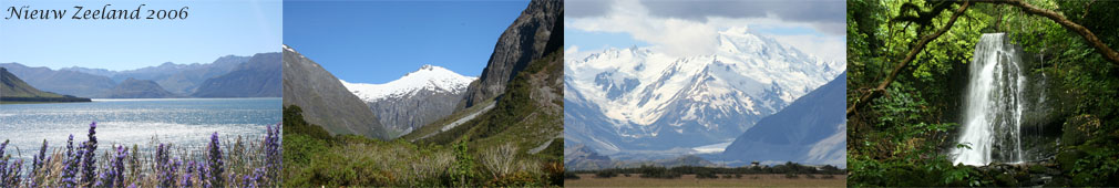 NZ_9.jpg