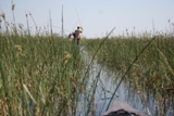 ZA_2008_37.JPG