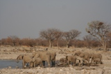 ZA_2008_25.JPG