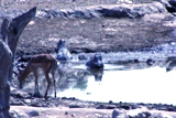ZA_2008_31.JPG