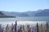 NZ_2006_13.JPG