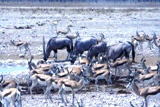 ZA_2008_32.JPG