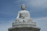 MG_2010_15.JPG