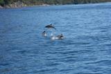 NZ_2006_15.JPG