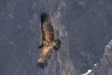PB_2012_15.JPG