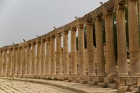 JO_2014_03.jpg