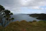 NZ_2006_03.JPG