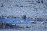 ZA_2008_27.JPG
