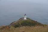 NZ_2006_05.JPG