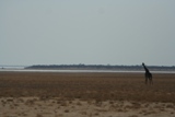 ZA_2008_19.JPG