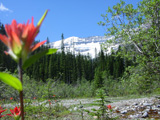 Can_2002_07.JPG
