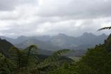 NZ_2006_06.JPG