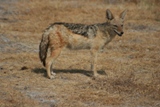 ZA_2008_20.JPG