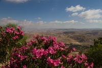 JO_2014_07.jpg