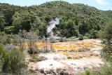NZ_2006_07.JPG