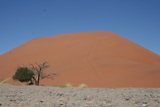 ZA_2008_11.JPG
