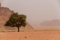 JO_2014_19.jpg