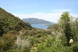 NZ_2006_08.JPG