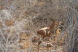 ZA_2008_23.JPG