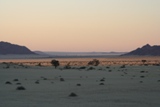 ZA_2008_09.JPG
