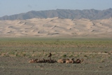 IMG_6606.JPG