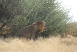 IMG_7453.JPG